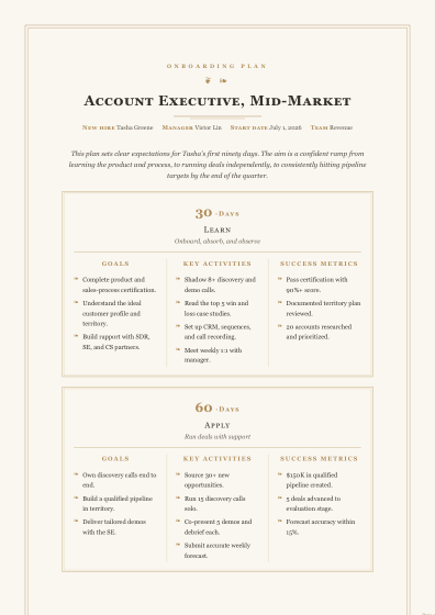 30-60-90 day plan (ornate)